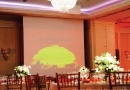 DESIGN BOTEZ | MARRIOTT GRAND HOTEL - TREE OF LIFE, SIMBA - REGELE LEU, LION KING