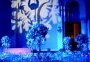 Nunta Palatul Snagov, Ionut & Andreea - Winter Love Story Wedding Themed