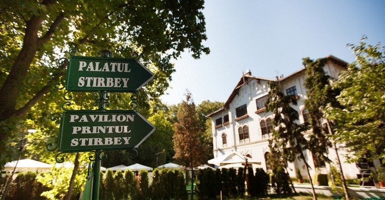 Locatii